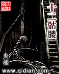 十二骷髅封面