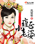 雍正小老婆封面