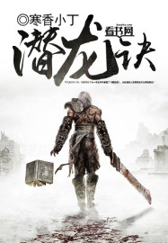 潜龙诀封面
