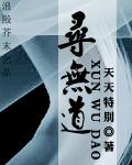 寻无道封面