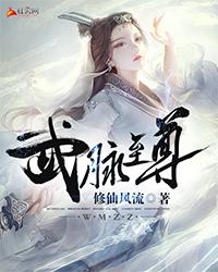 武脉至尊封面
