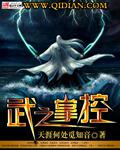 武之掌控封面