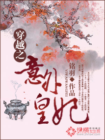 穿越之意外皇妃封面