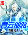 青云仙路封面
