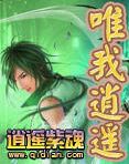 修真之唯我逍遥封面