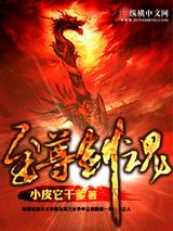 至尊剑魂封面