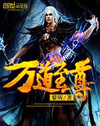 万道至尊封面