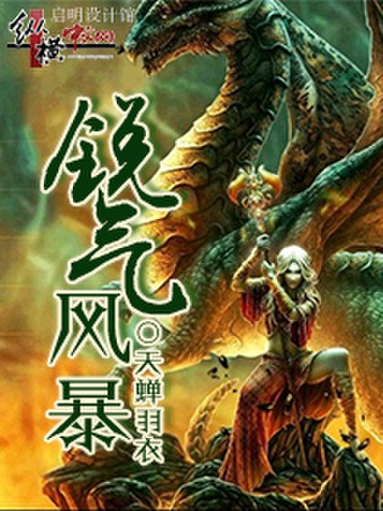 锐气风暴封面