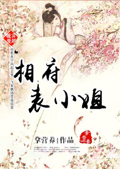 穿越之相府表小姐封面