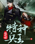 特种兵王在花都封面