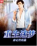 重生迷梦封面