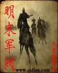 明末军阀封面