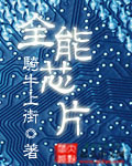 全能芯片封面