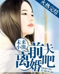 前夫离婚吧封面