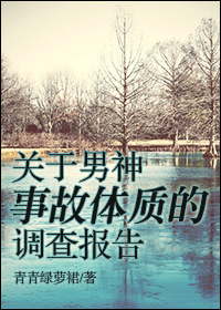 关于男神事故体质的调查报告封面