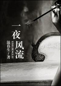 一夜风流封面