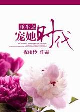 重生之宠她时代封面