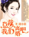 总裁,我们离婚吧封面