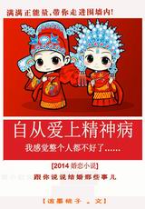 自从爱上精神病封面