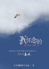 我怀念的封面