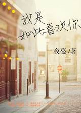 我是如此喜欢你封面