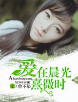 爱在晨光熹微时封面