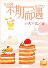 不期而遇封面