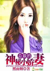 总裁的神秘小娇妻封面