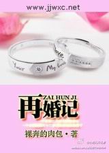 再婚记封面