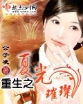重生之夏光璀璨封面