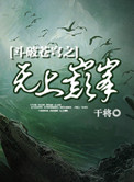 斗破苍穹之无上巅峰封面
