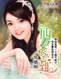 仙妻驾到封面