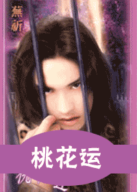 桃花运(出书版)封面