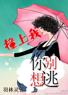 撞上我,你别想逃封面
