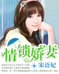 情锁娇妻封面