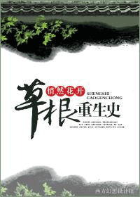 草根重生史封面