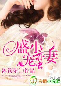 盛宠小蛮妻封面