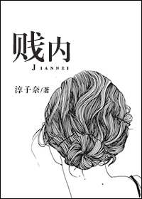 贱内封面
