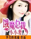 饿魔总裁小小妻封面