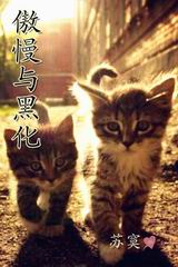 傲慢与黑化封面