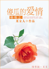 韩娱之傻瓜的爱情封面