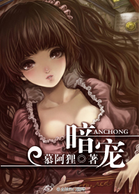 暗宠封面