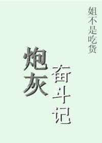 炮灰奋斗记封面