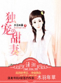 独宠甜妻封面