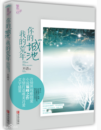 你的城池,我的荒年封面
