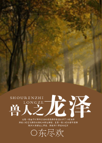 兽人之龙泽封面