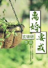 离婚,要戒!封面