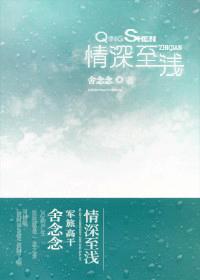 情深至浅封面