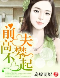前夫高攀不起封面
