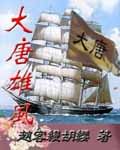 大唐雄风封面